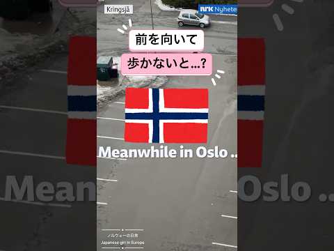 ノルウェー オスロを歩いていると..? #海外一人旅 #norway #海外旅行 #ヨーロッパ #ムース #北欧の暮らし #北欧 japansk