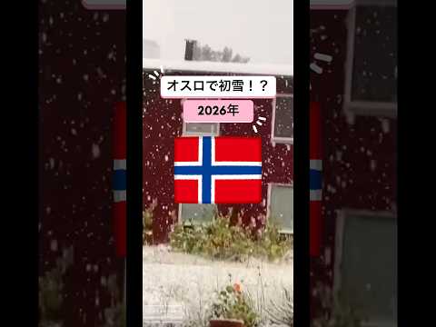 北欧 ノルウェー オスロで初雪？ #ヨーロッパ #海外生活 #2026 #秋 # #海外移住 #norway #ノルウェー生活